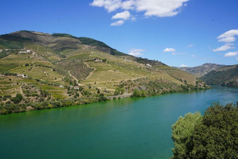 douro-wine-tasting-and-river-cruise-experience