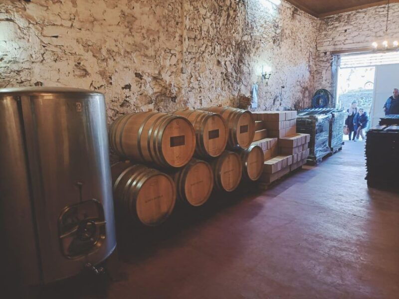 douro-wine-tasting-and-river-cruise-experience