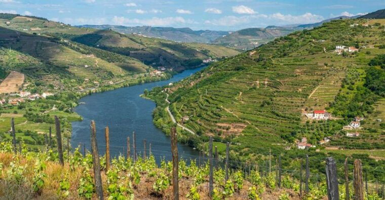 douro-wine-tasting-and-river-cruise-experience