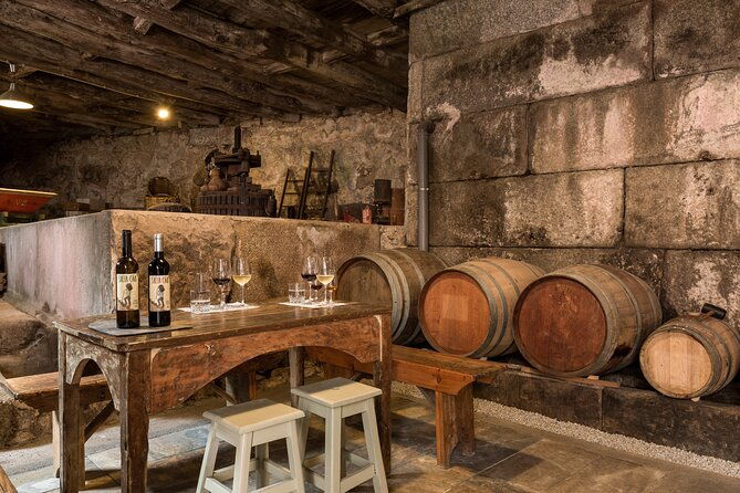 douro-wine-tasting-at-a-family-winery-in-portugal