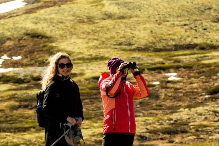dovrefjell-national-park-hiking-tour-and-musk-ox-safari