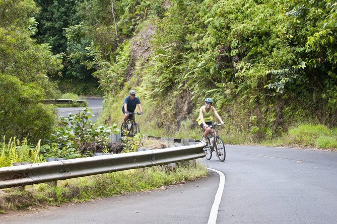 downhill-bike-and-koolau-waterfall-hike-tour