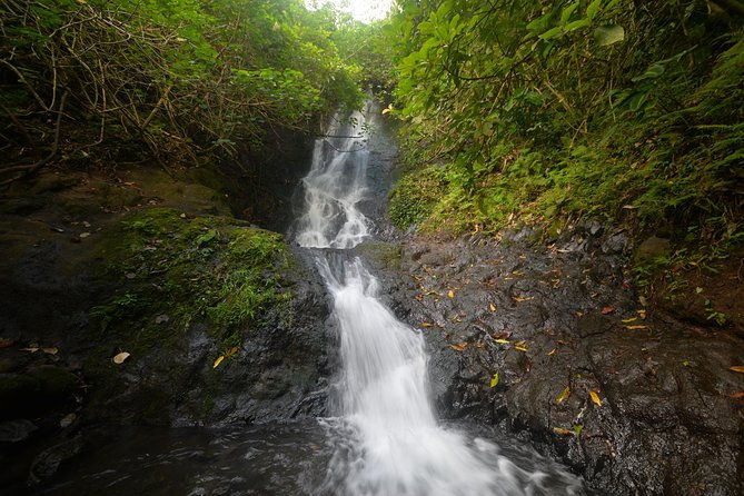 downhill-bike-and-koolau-waterfall-hike-tour