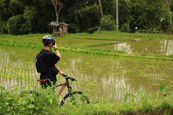 Downhill Jungle and Rice Terrace Cycling Tour - Discovering Bali’s Countryside on Two Wheels
