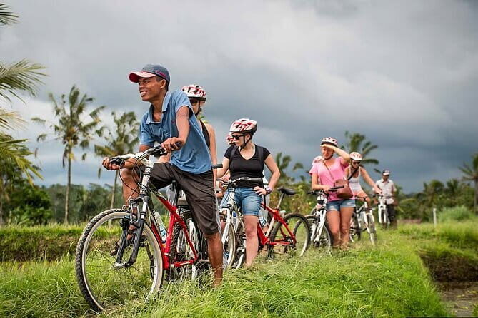 Downhill Jungle and Rice Terrace Cycling Tour - Who Will Love This Tour?