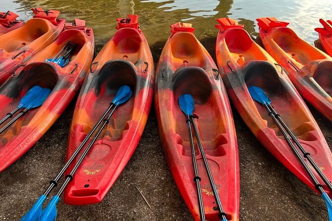 downtown-austin-sunset-kayak-tour-with-1-5-million-bats