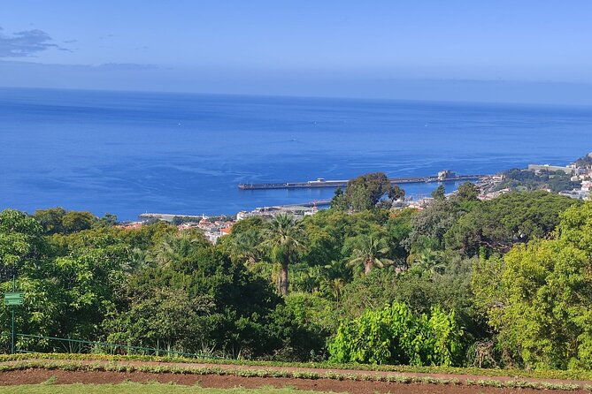downtown-delights-sidecar-adventure-in-funchal-1-or-2-persons