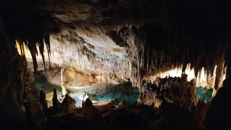 Drach Caves and Palma or Beach Retreat  Full-Day Tour - Final Thoughts