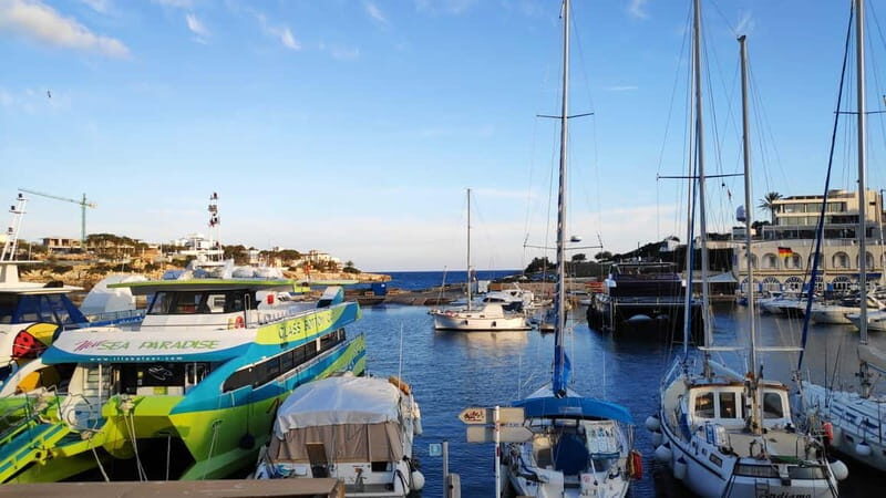 Drach Caves and Palma or Beach Retreat  Full-Day Tour - FAQ