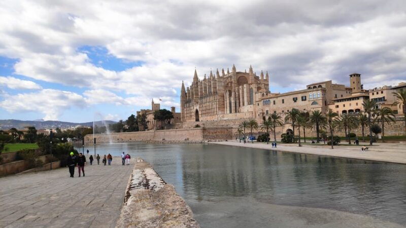 drach-caves-and-palma-or-beach-retreat-full-day-tour