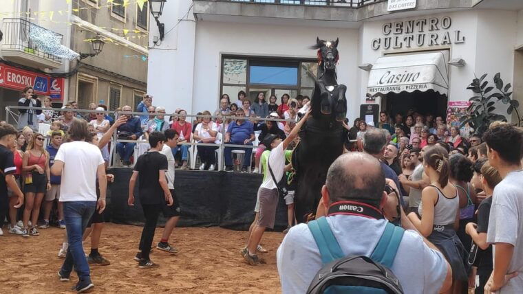 drach-caves-and-palma-or-beach-retreat-full-day-tour