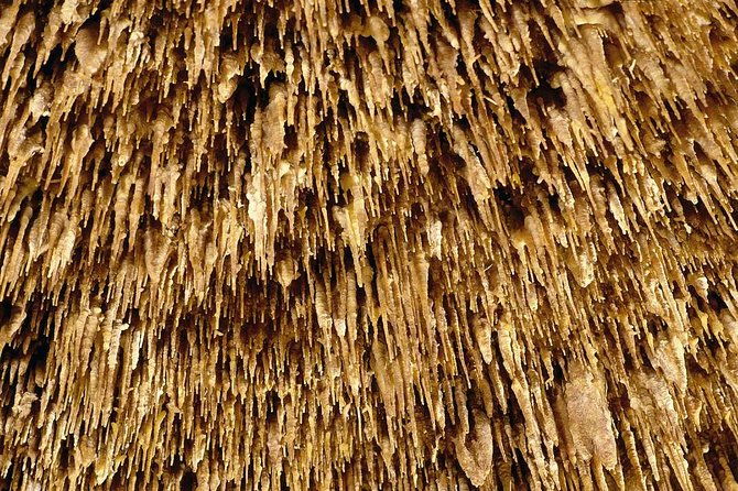 drach-caves-porto-cristo-pearl-shop-mallorca-half-day-tour