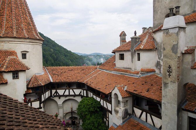 Dracula and Peles Castles Premium Tour with Hotel pick-up - Things to Keep in Mind