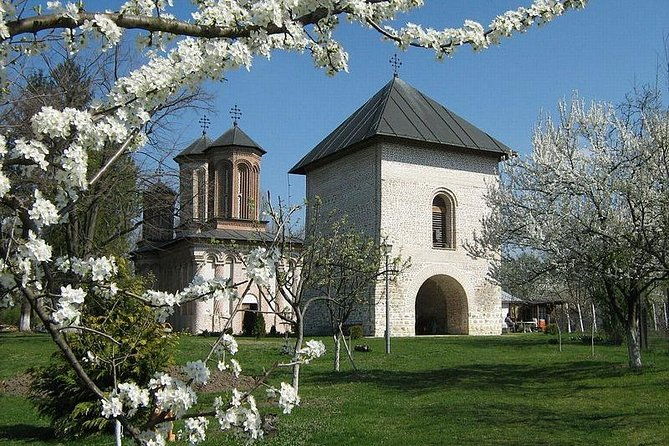 draculas-tomb-and-mogosoaia-palace-private-tour-from-bucharest