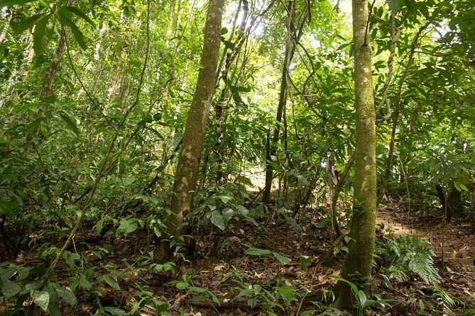 drakebay-over-night-tour-rioagujitasecojungle