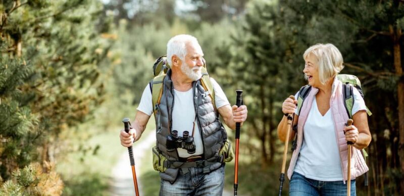 Drakensberg Mountains Full Day Tour From Durban & Hiking - What Travelers Can Expect: Practical Details and Insights