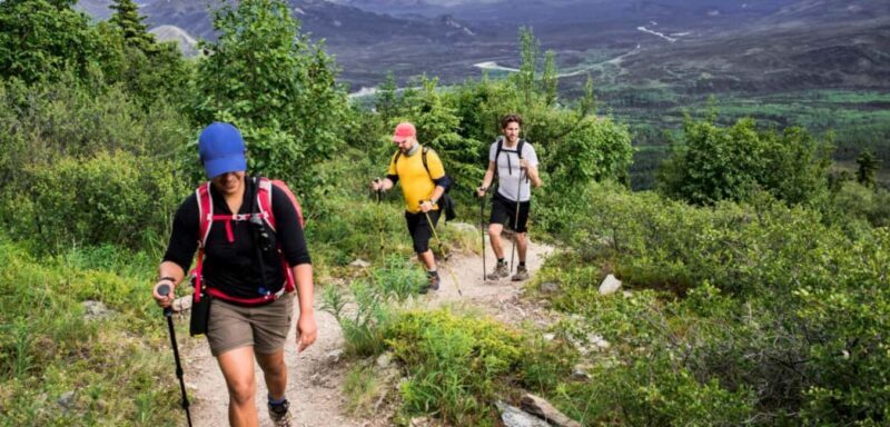 Drakensberg Mountains Full Day Tour From Durban & Hiking - Who Will Love This Tour?