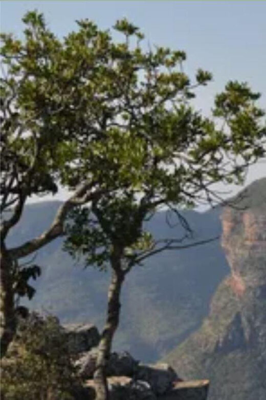 Drakensberg Mountains Plus Hiking Full Day Tour From Durban - A Detailed Look at the Tour Experience