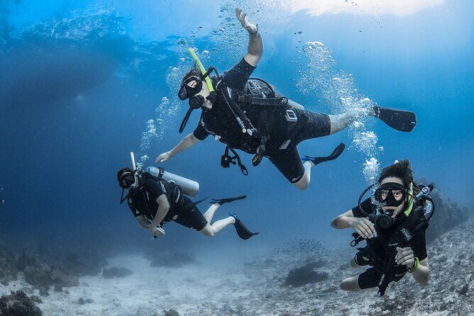 Dream to Dive full Course & private Dive Instructor PADI - Confined Water Sessions: Learning in a Controlled Setting