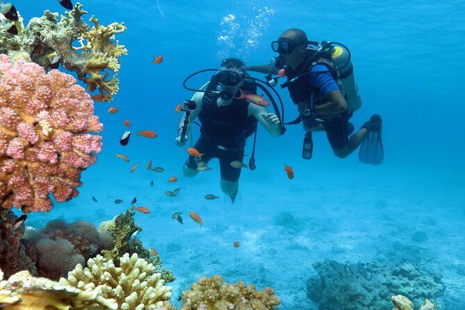 Dream to Dive full Course & private Dive Instructor PADI - Open Water Dives: Applying Skills in Real-World Conditions