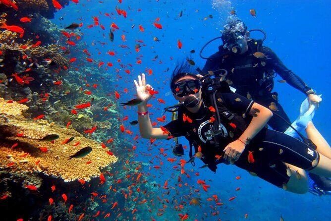 Dream to Dive full Course & private Dive Instructor PADI - Equipment and Course Materials