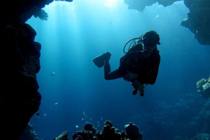 Dream to Dive full Course & private Dive Instructor PADI - The Value and Price