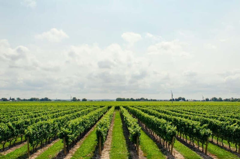 Dream Tour Kavala, Philippi, Lydia Baptisma Site & Winery - Key Points