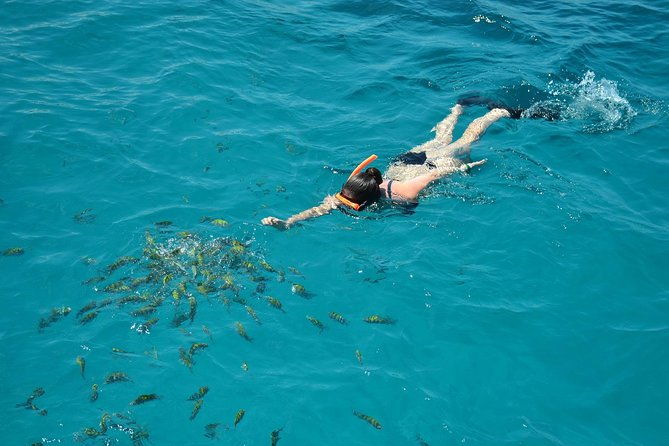 dreamer-catamaran-montego-bay-cruise-to-negril-from-falmouth