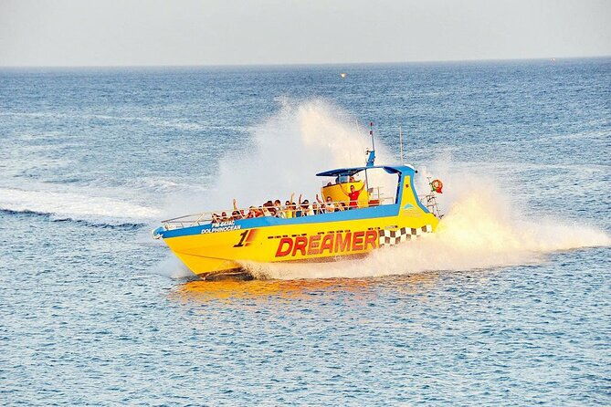 dreamer-cave-and-dolphins-boat-tour-ticket-albufeira