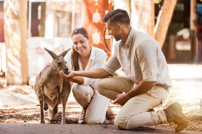 Dreamworld, WhiteWater World & SkyPoint 3-Day Ticket - Who Should Consider This Ticket?