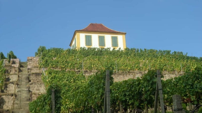 Dresden: Boat Cruise with Wine Tasting and Snacks - Practical Details: Timing, Transportation, and Atmosphere