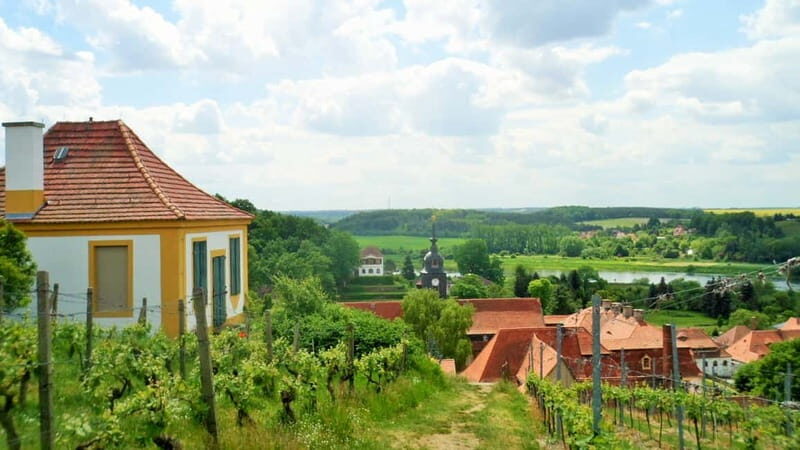 Dresden: Boat Cruise with Wine Tasting and Snacks - Authenticity and Value