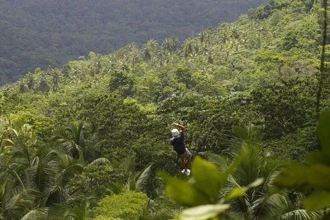 drive-and-fly-buggy-and-zipline