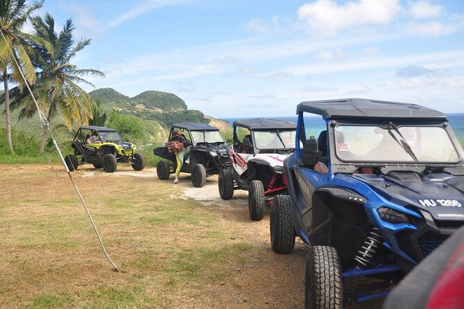 drive-and-fly-buggy-and-zipline