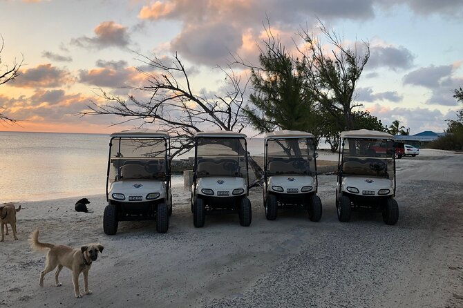 drive-gdt-golf-cart-rentals