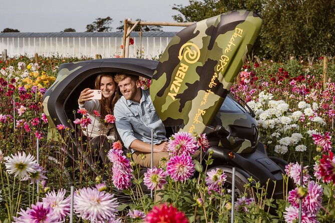drive-it-yourself-electric-dune-summer-flower-gps-audio-tour