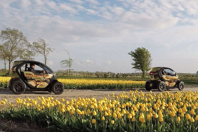drive-it-yourself-electric-tulip-and-flower-fields-gps-audio-tour
