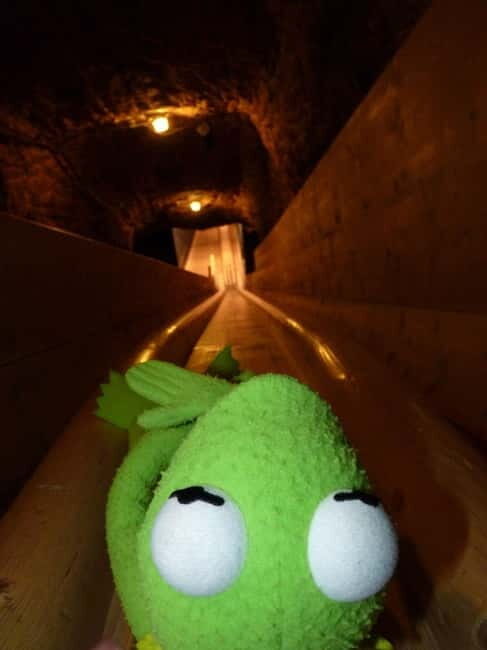 Driver-Guide: Salzburg-Königsee, Salt Mines and Eagle's Nest - Who Will Enjoy This Tour?