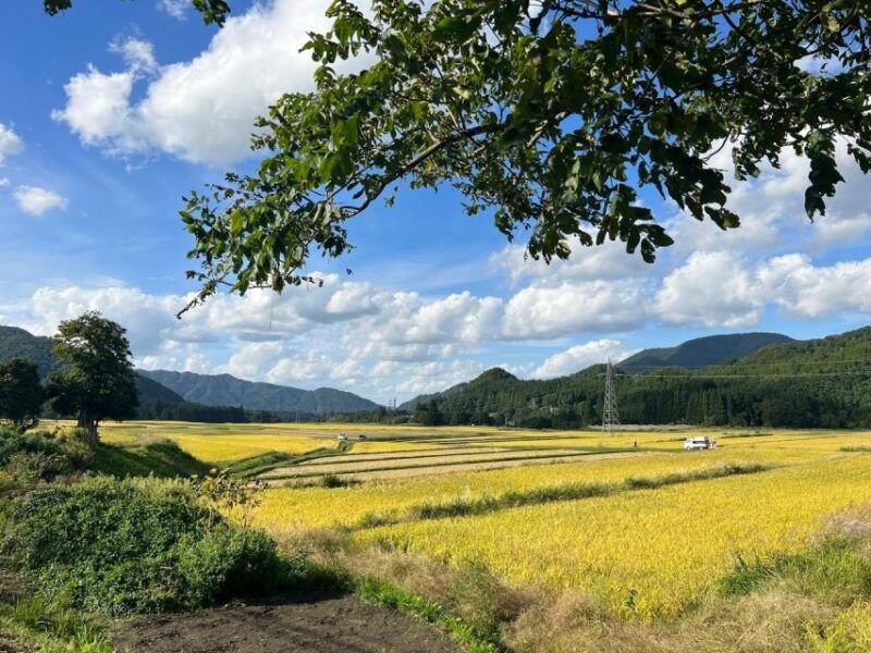 driving-support-in-akita