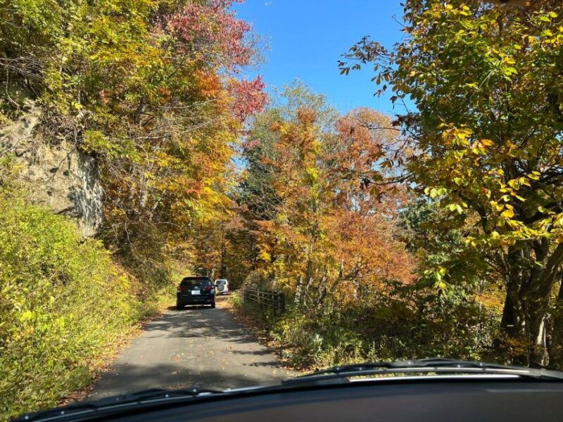 driving-support-in-akita