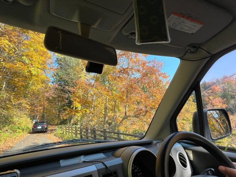 driving-support-in-akita