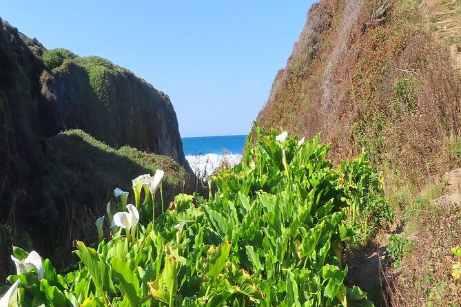 driving-the-california-coast-a-self-guided-audio-tour