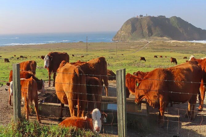 driving-the-california-coast-a-self-guided-audio-tour