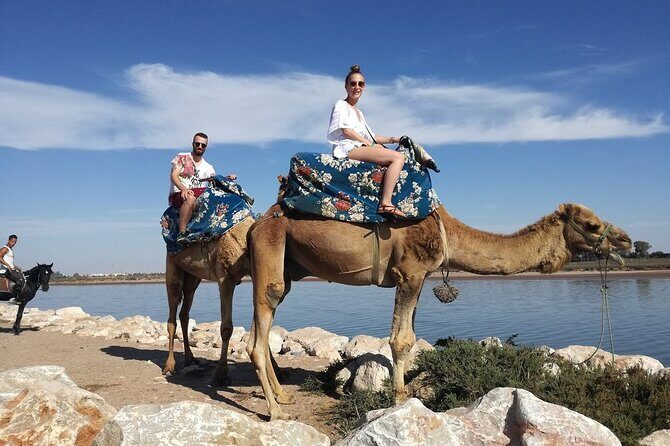 Dromedary Safari: 2 hours - Why This Tour Works Well
