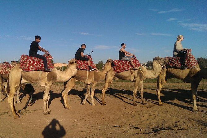 Dromedary Safari: 2 hours - Practical Details and Considerations