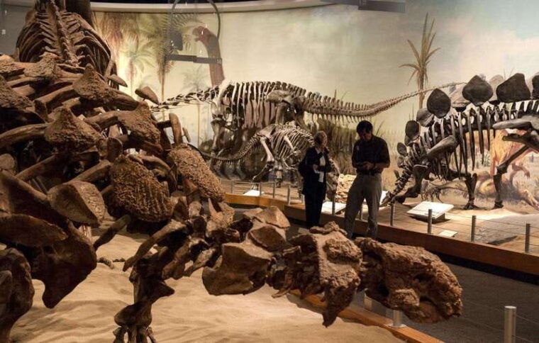 drumheller-royal-tyrrell-museum-horseshoe-canyon-hoodoos