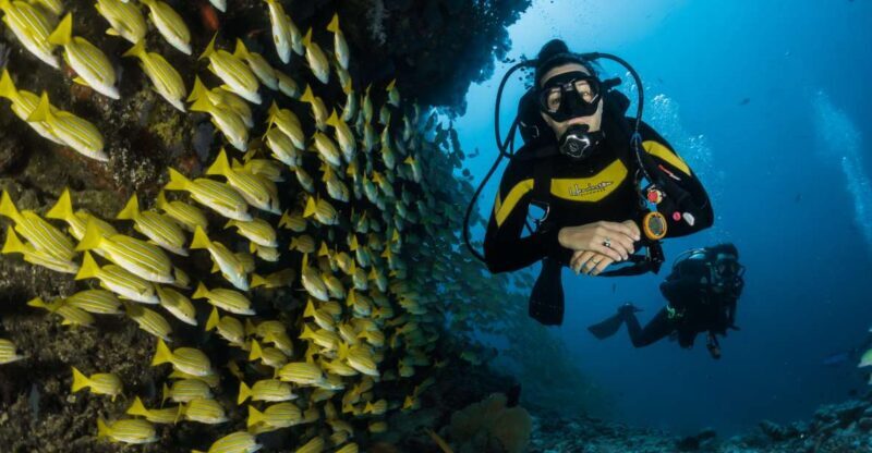 DSD Discover Scuba Diving for a beginner or Certified - Key Points