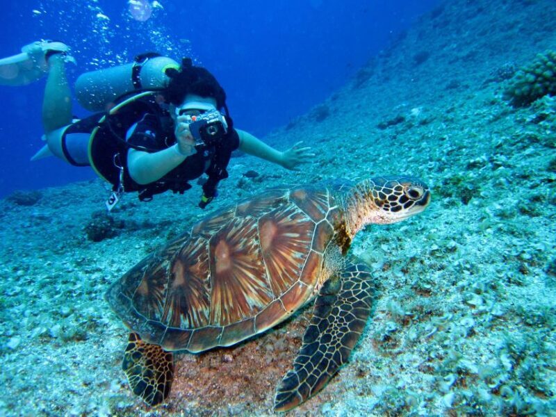 DSD Discover Scuba Diving for a beginner or Certified - Authentic Experiences from Other Travelers