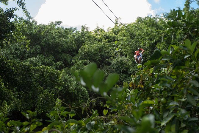 dual-zipline-side-by-side-adventure-in-punta-cana