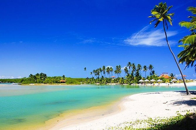 duas-barras-beach-and-marape-dunes-trip-from-maceio